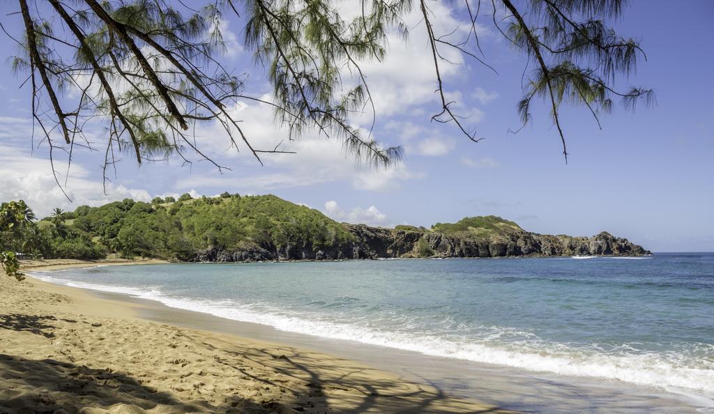 Appartamento Studio Anse L'Etang Tartane Esterno foto