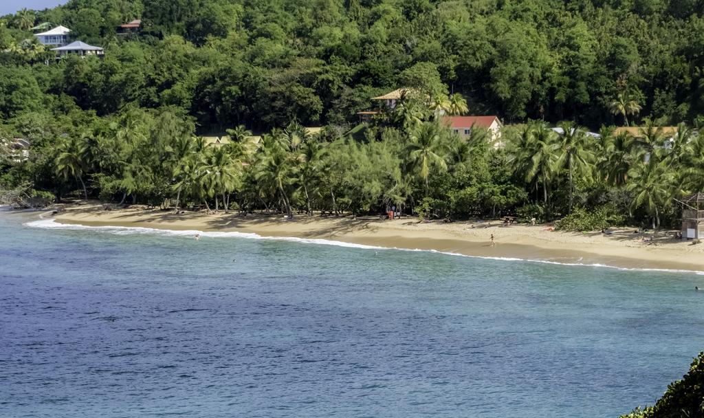 Appartamento Studio Anse L'Etang Tartane Esterno foto